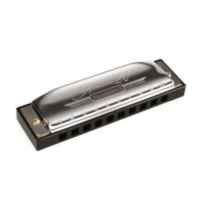 Hohner Special 20C, 10 hole, diatonic, country, pro, German, Hohner near me, Hohner Cape Town