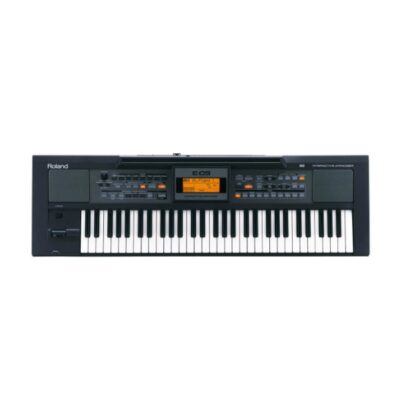 Roland E-09, Portable Arranger Keyboard, 61 Key, Roland Near Me, Roland Cape Town