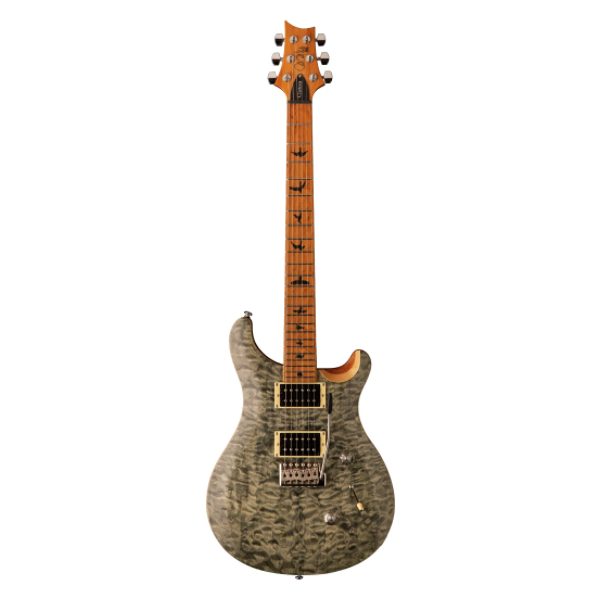 PRS SE Custom 24, Roasted Maple Neck, Tampas Green, Electric guitar, PRS near me, PRS Cape Town