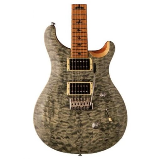 PRS SE Custom 24, Roasted Maple Neck, Tampas Green, Electric guitar, PRS near me, PRS Cape Town