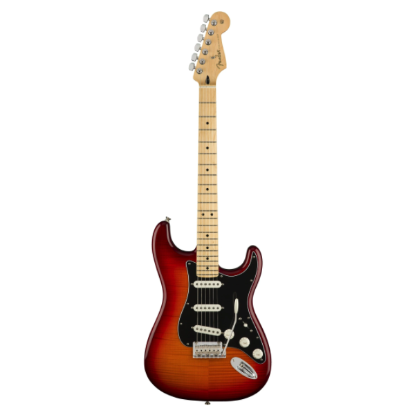 Fender, Stratocaster, Player, Plus Top, Maple top, Aged Cherry Burst, Fender Near Me, Fender Cape Town,