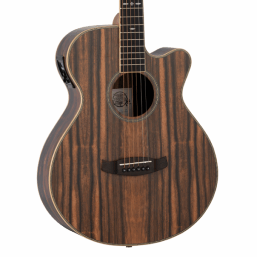 Tanglewood, TRU4CEAE, Super Folk Shape, Ebony Body, Pickup, Acoustic Guitar, Tanglewood Near Me, Tanglewood Cape Town,