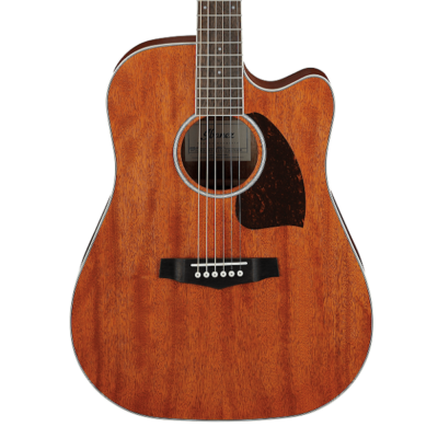 Ibanez, PF16MWCE, Acoustic Electric Guitar, Cutaway, Open Pore Natural, Nyatoh Top, Pickup, Ibanez Near Mew, Ibanez Cape Town,