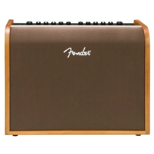 Fender, Acoustic 100, Acoustic Amp, 100 Watt, 2-Channel, Mic Input, Effects, Fender near me, Fender Cape Town,